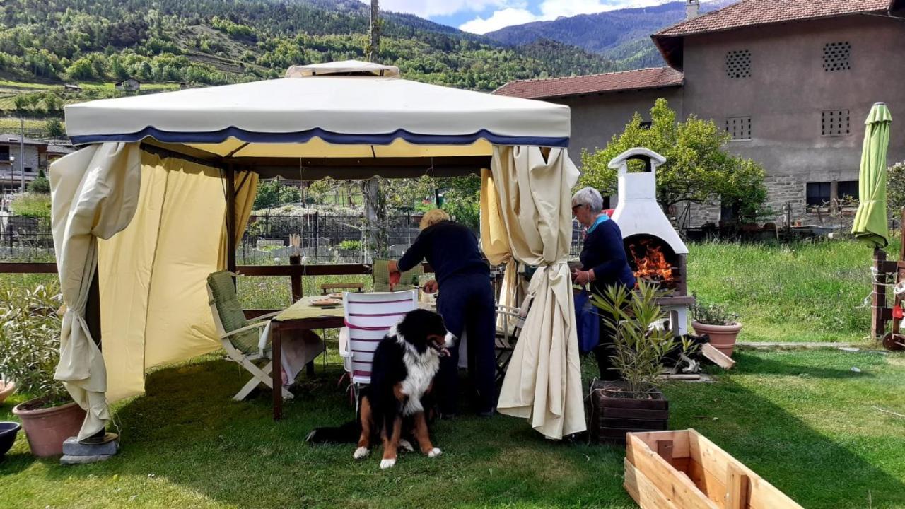 Holiday home Signorile Con Giardino