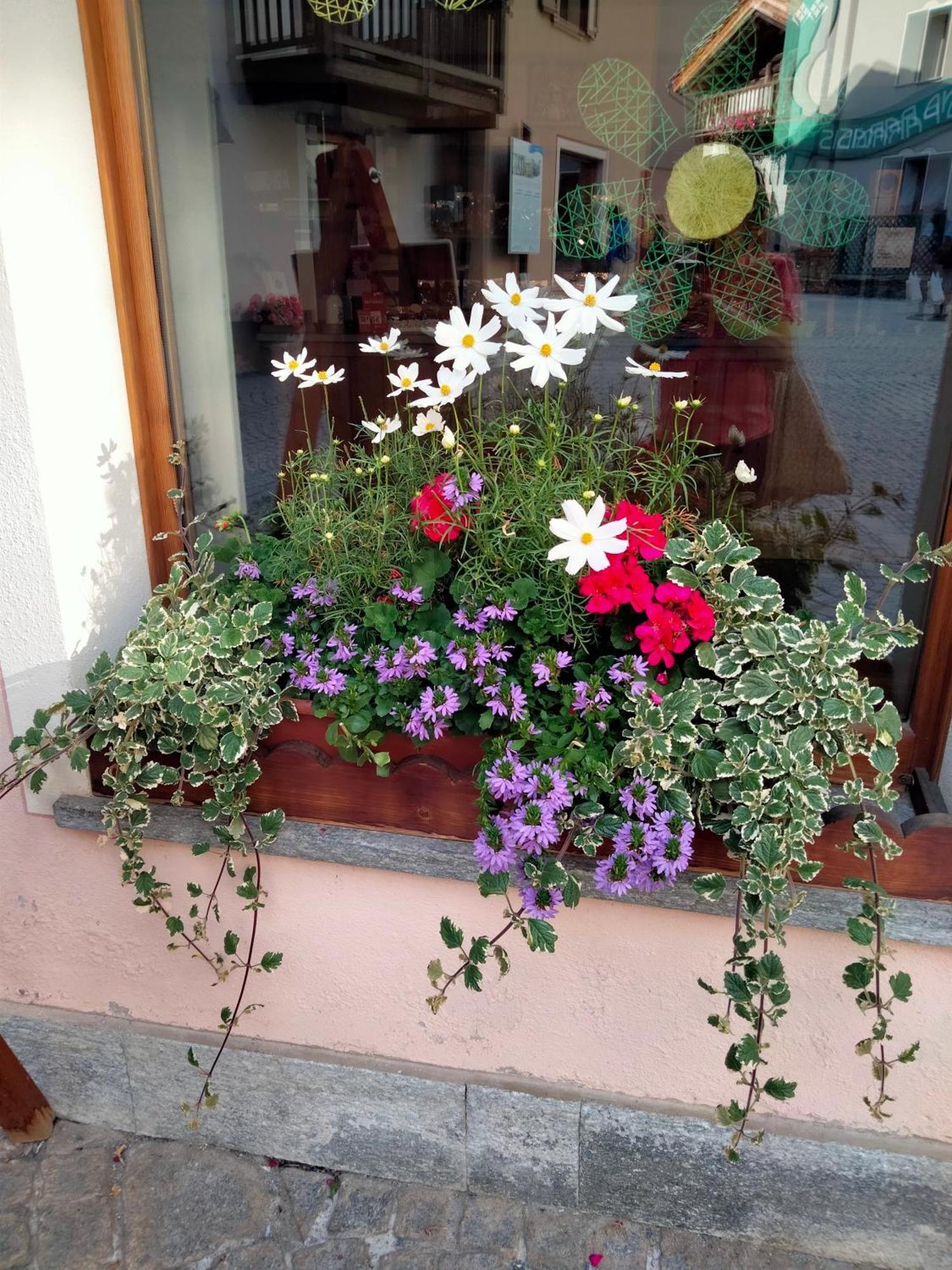 Signorile Con Giardino Holiday home Aosta