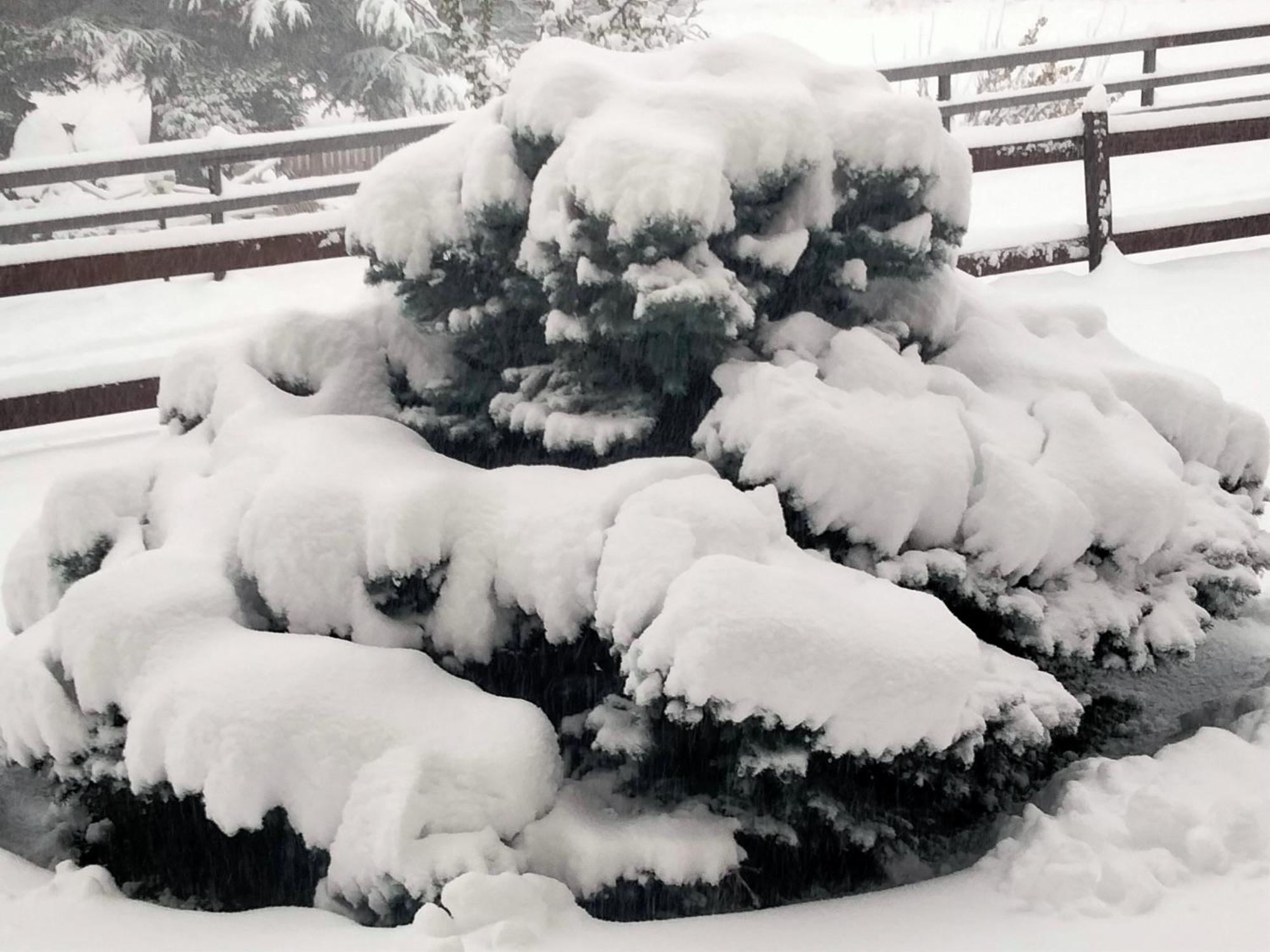 Signorile Con Giardino Holiday home Aosta